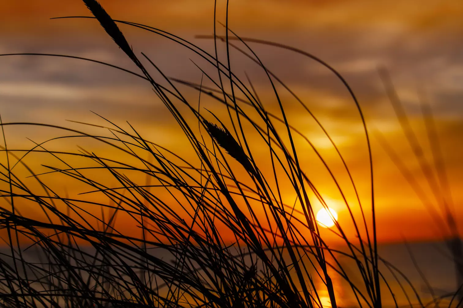 Blog Stefan Bitterli Blog Stefan Bitterli